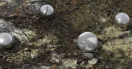 Blender 4 – Nature Gobos 15 – Realistic Renders FREE Download