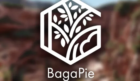 BagaPie v11.0.10 + All Assets (Blender 5.2) Download 2026
