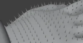 Mesh2Rig v1.8.0 Addon (Blender 4.4) Free Download