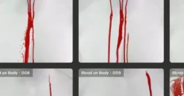 Sparrow’s FXElements 3 in 1 Blood Bundle Crack Download