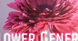 Flower Generator v1.1 Crack (Blender 4.5) Download