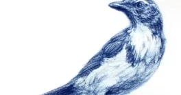 Udemy The Art & Science of Drawing Course Crack Download