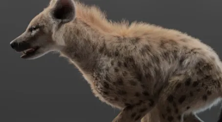 Vfx Grace Spotted Hyena 3D Model Crack 2025 Download