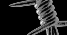 Gumroad – BARBED WIRE Graphics Pack Crack Full Download