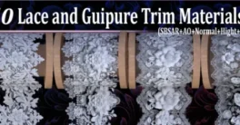 50 Lace and Guipure Trim Materials vol24 Crack Download
