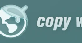 Copy World Space v0.0.2.0 Crack (Blender 4.3) Download