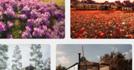 Botaniq v7.1.1 FULL Crack (Blender 4.5) Download