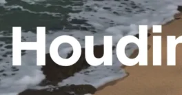 Sparrow’s Houdini v21 LINUX Crack 2025 Download