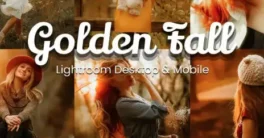 3motional – 30 Golden Fall Lightroom Collection Crack Download