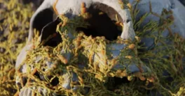 Procedural Fungus Growth v1 Crack (Blender 4) Download