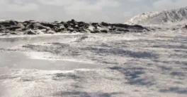 Advanced Landscape Material Ed.1 Crack Download