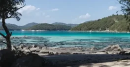 World Creator – Samples and Bridges Crack Download