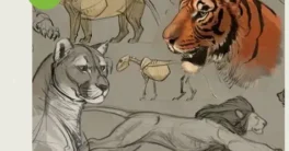 How to Draw Animals Course – Big Cats Course Free Download