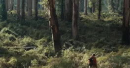 LensNode v1.0.2 Crack OFX (nodemill) Download