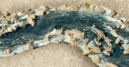 Realtime River Generator v1.3.1 Crack (Blender 4.5) Download