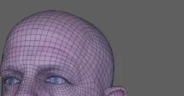 Sparrow’s Faceform Wrap 2025.10.8 Crack Download