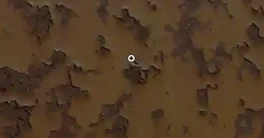 7 Brushes bundle from Textures.com Crack Download