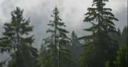 Sparrow’s Topaz Gigapixel Pro v1.0.4 Crack MAC Download