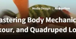 Mastering Body Mechanics Combat Coloso Course Free Download