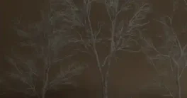 Unreal Engine 5.3+ Foliage VOL.26 Dead Birch Trees Low Poly Download