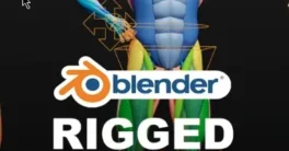 Muscle Anatomy - Ecorche Rigged Crack (Blender)