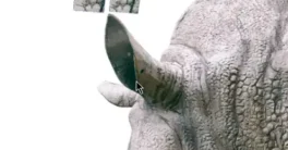 Sparrow's 3DF Zephyr v8.038 Full Version Download