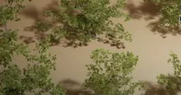 Unreal Engine Foliage VOL.19 - Scraggly Bushes Crack