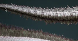 FlippedNormals 33 Tail Meshes & Curve Brushes Crack 2026 Download