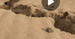 Gnomon Workshop - Introduction to Houdini Grains Free Download