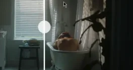 Procolorist - Contour v2.1.6 Crack (Davinci) Free Download