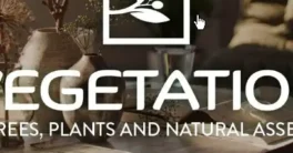 Tree Vegetation - Tree And Plant Animation Library Addon