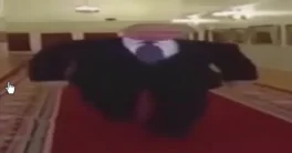 Vrtoon Shader Manager V2.2.7 Crack (Blender 4.2) Download