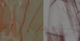 Gumroad - Figure drawing FORM/STRUCTURE Full Course Download