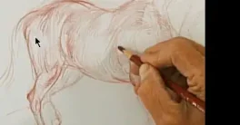 NMA - How to Draw Animals by Glenn Course Free 2026 Download