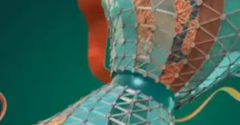 Sparrow's Adobe Substance Designer 16 Crack 2026 Download