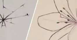 VFX Apprentice - Drawing Foundations Course Free Download