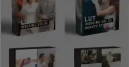 ColorWheel - Combo Wedding Pack Luts Free Download