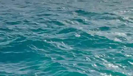 DF Productions - Waterline PRO 6 (FAB) Download