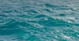 DF Productions - Waterline PRO 6 (FAB) Download